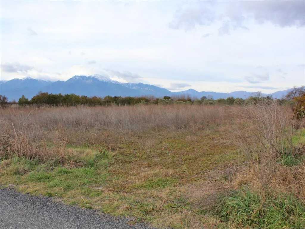 γη προς πώληση 8484 τ.μ Κατερίνη Νομός Πιερίας