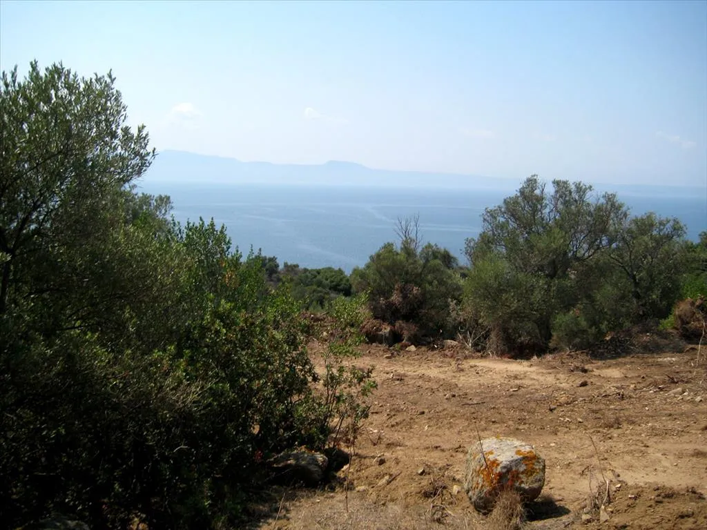 γη προς πώληση 7000 τ.μ Αριστοτέλης Χαλκιδική