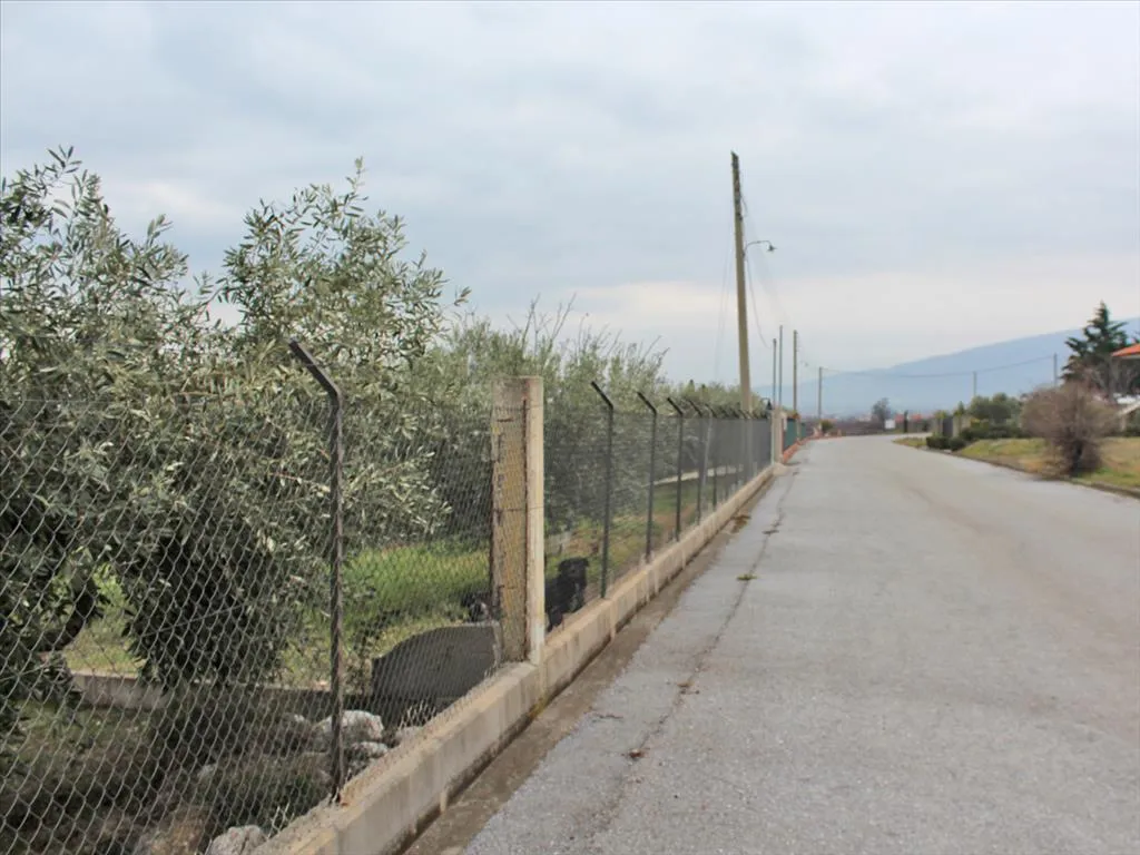 γη προς πώληση 5062 τ.μ Δίον Νομός Πιερίας