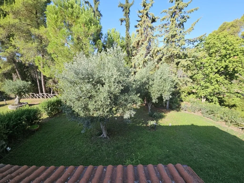 μεζονέτα προς πώληση 105 τ.μ Κασσάνδρα Χαλκιδική