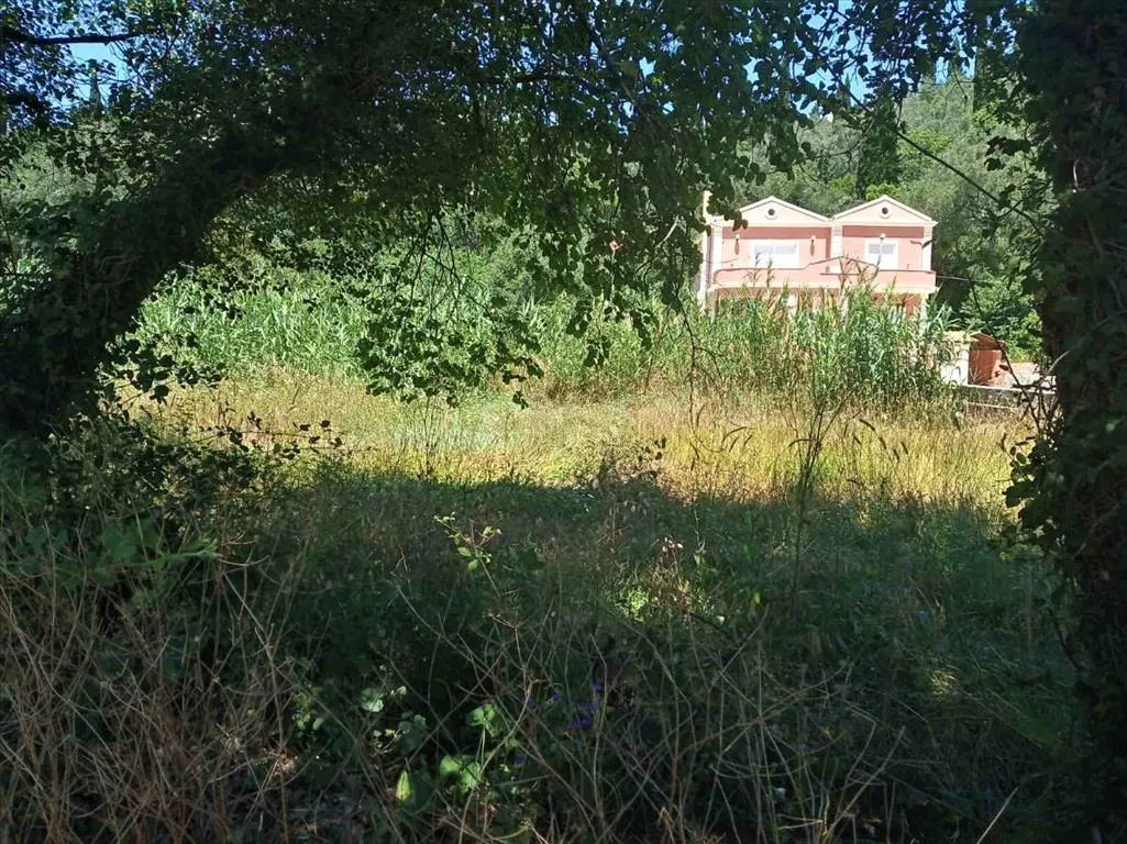 γη προς πώληση 2300 τ.μ Κέρκυρα Νομός Κέρκυρας