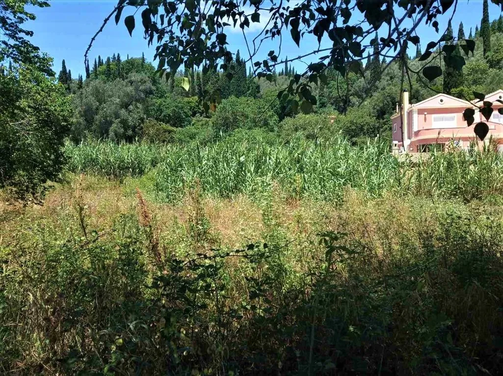 γη προς πώληση 2300 τ.μ Κέρκυρα Νομός Κέρκυρας