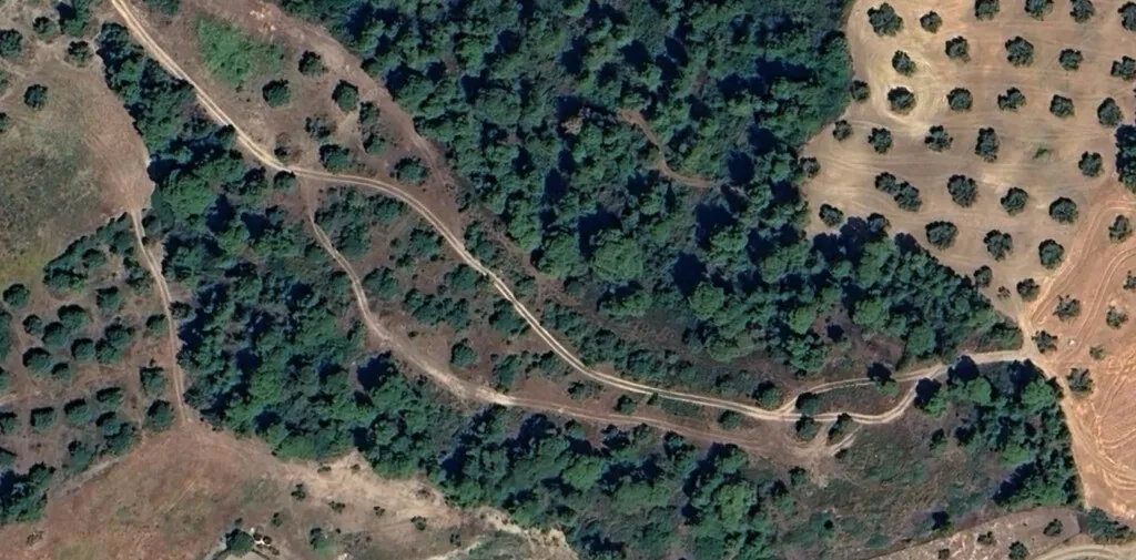 γη προς πώληση 14000 τ.μ Κασσάνδρα Χαλκιδική