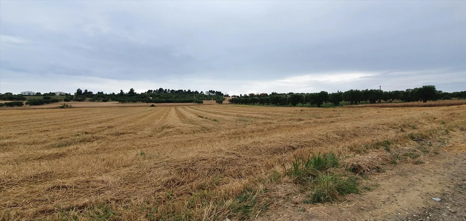 γη προς πώληση 9900 τ.μ Κασσάνδρα Χαλκιδική