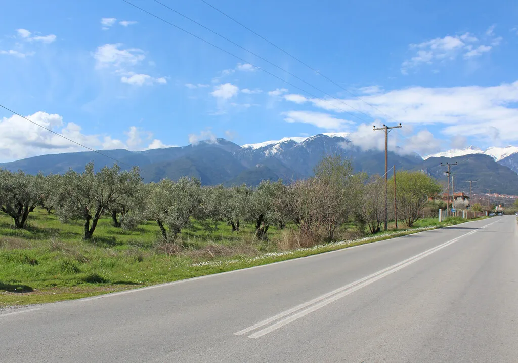 γη προς πώληση 4010 τ.μ Λιτόχωρο Νομός Πιερίας