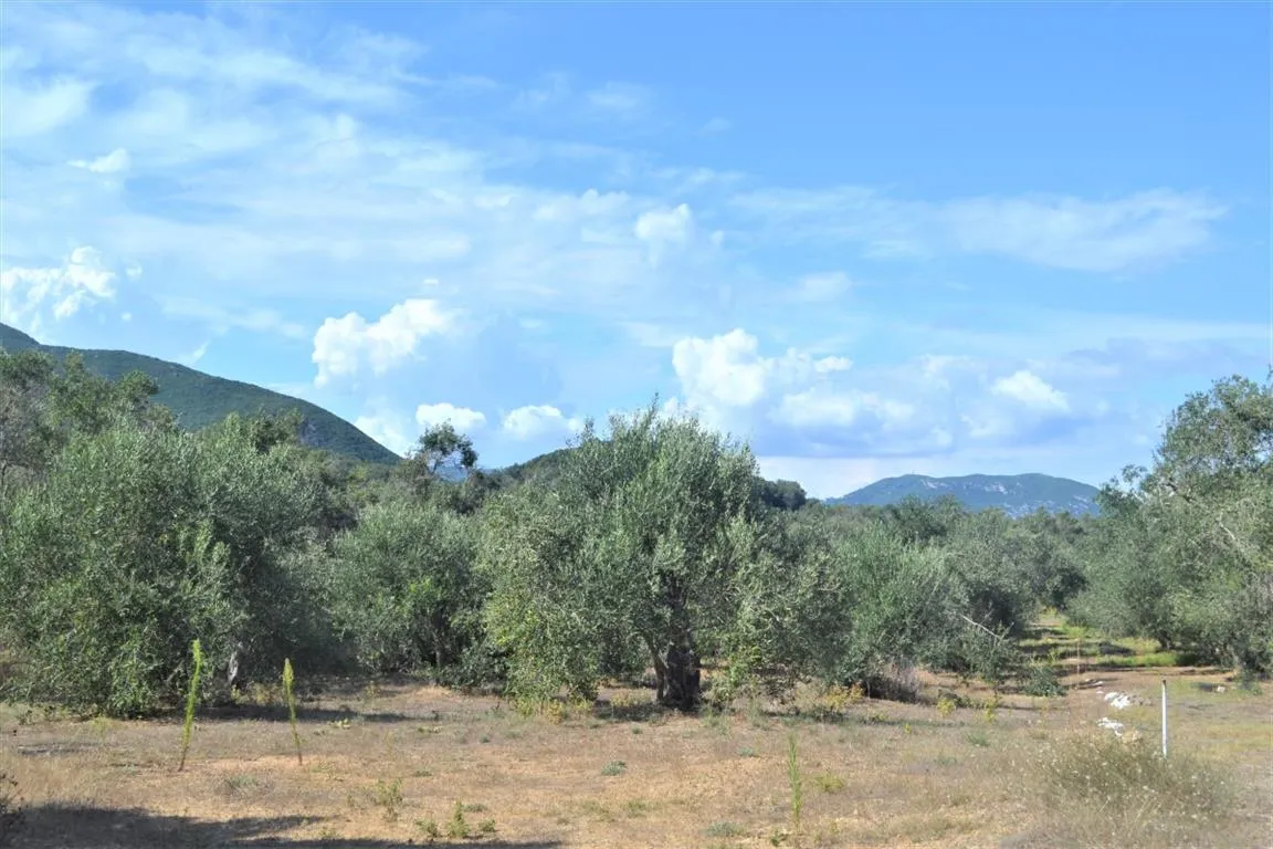 γη προς πώληση 4000 τ.μ Κέρκυρα Νομός Κέρκυρας