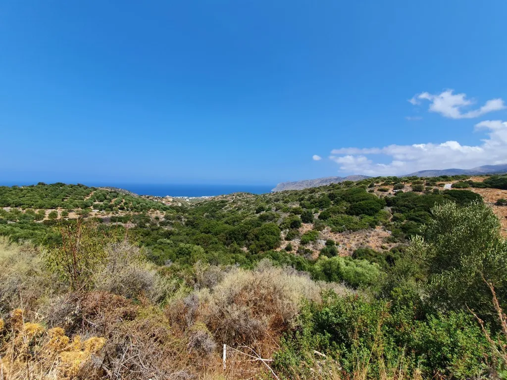 γη προς πώληση 9363 τ.μ Νεάπολη Νομός Λασιθίου