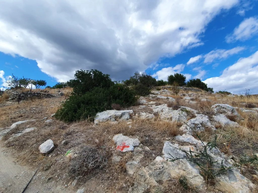 γη προς πώληση 982 τ.μ Βραχάσι Νομός Λασιθίου