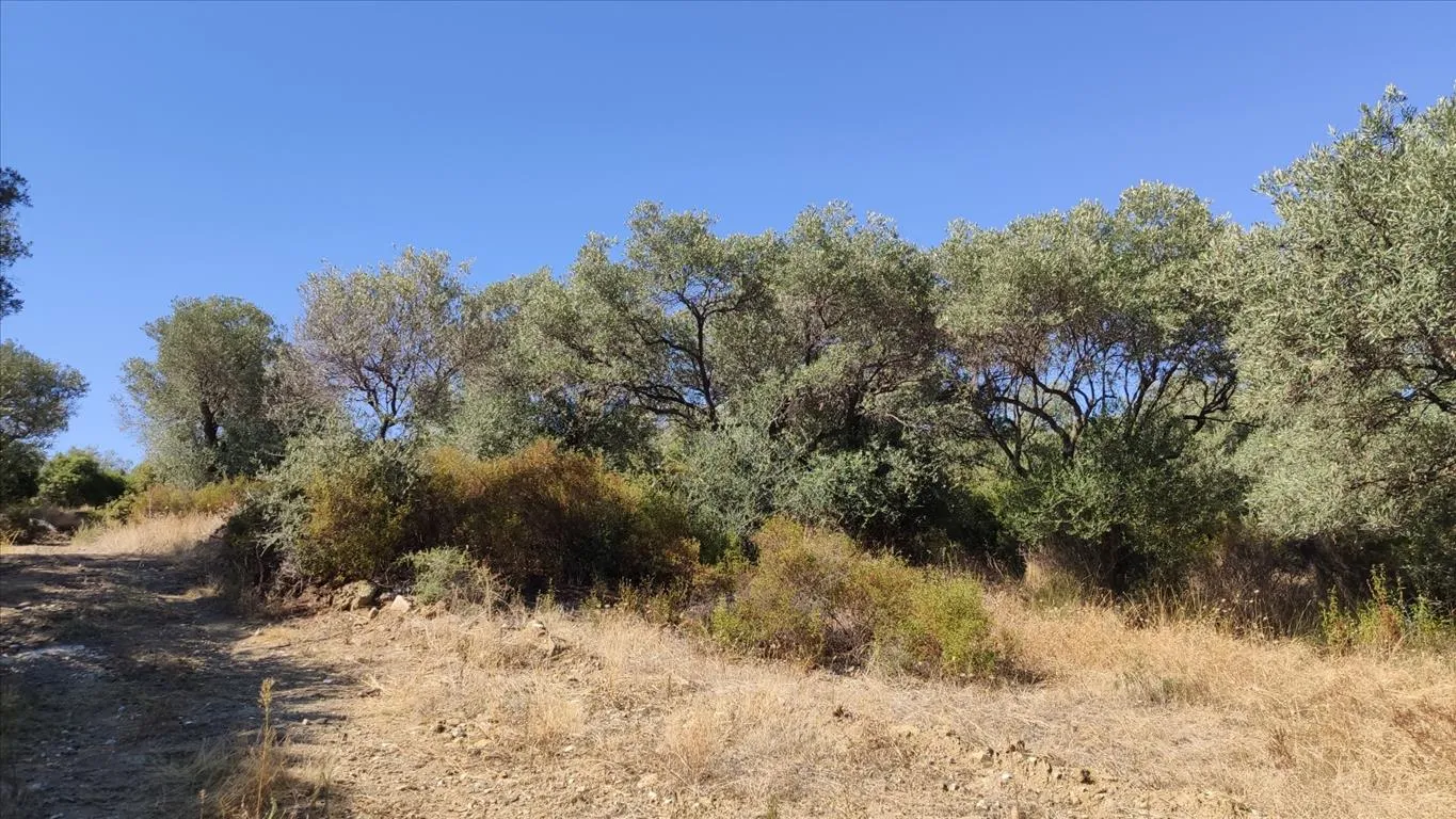 γη προς πώληση 12750 τ.μ Αριστοτέλης Χαλκιδική