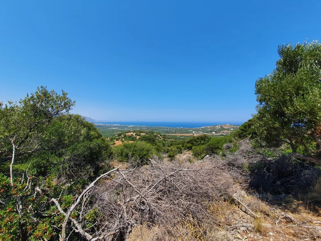γη προς πώληση 5071 τ.μ Βραχάσι Νομός Λασιθίου