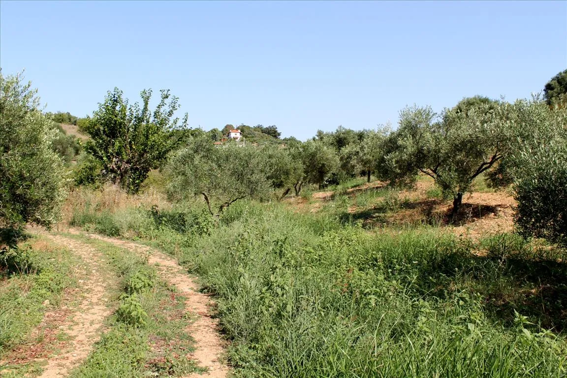 γη προς πώληση 4042 τ.μ  Σποράδες