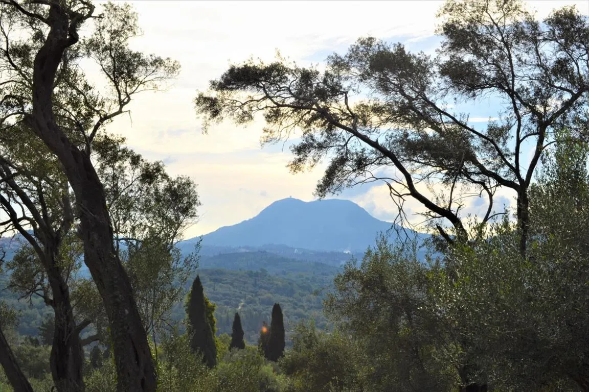 γη προς πώληση 3136 τ.μ Κέρκυρα Νομός Κέρκυρας