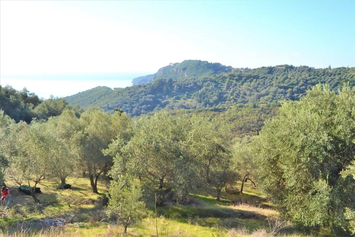 γη προς πώληση 8841 τ.μ Κέρκυρα Νομός Κέρκυρας