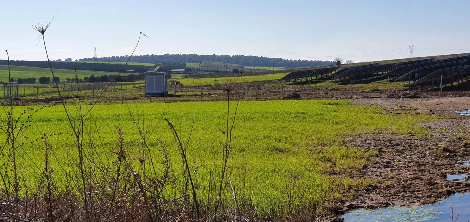 γη προς πώληση 6460 τ.μ Κασσάνδρα Χαλκιδική