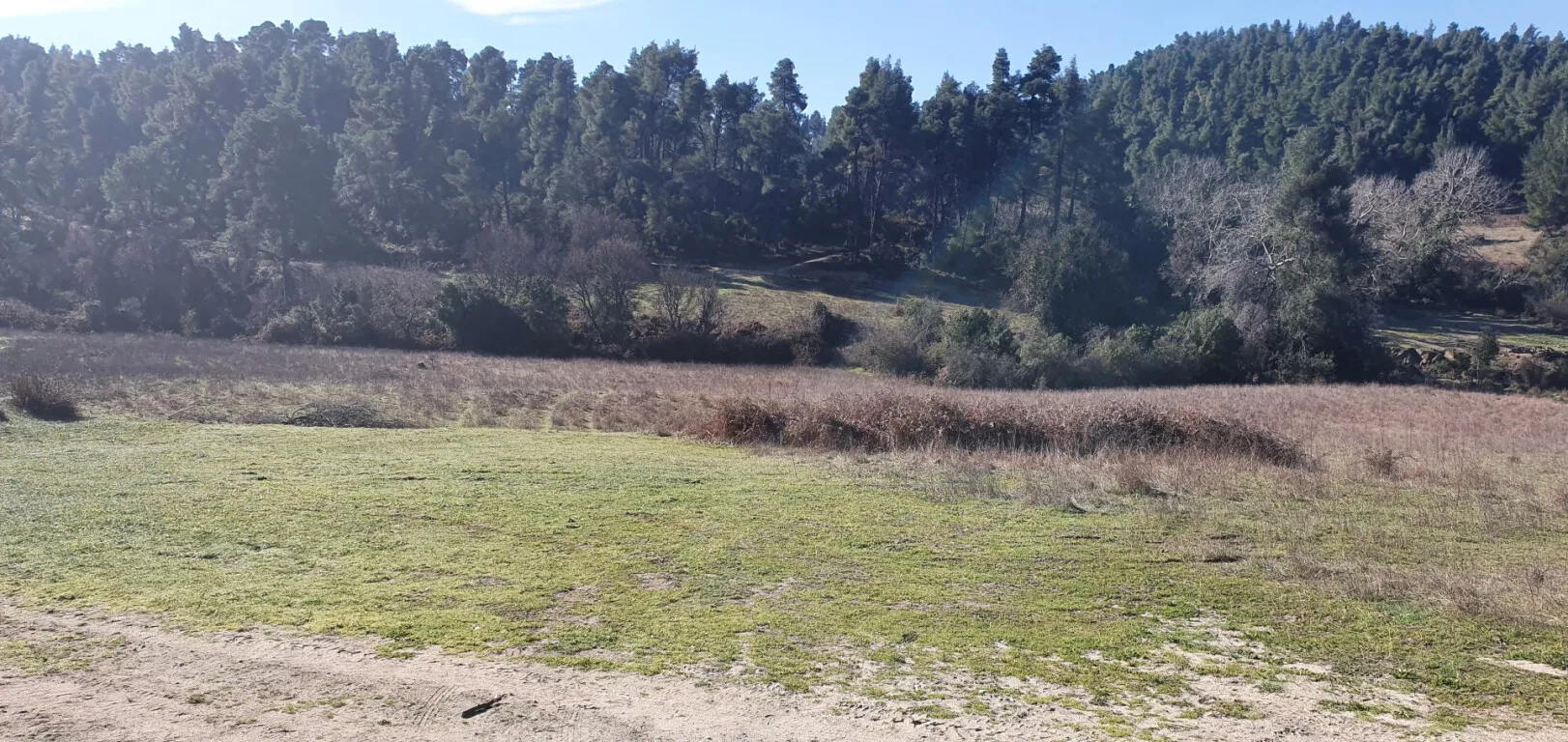 γη προς πώληση 18000 τ.μ Κασσάνδρα Χαλκιδική