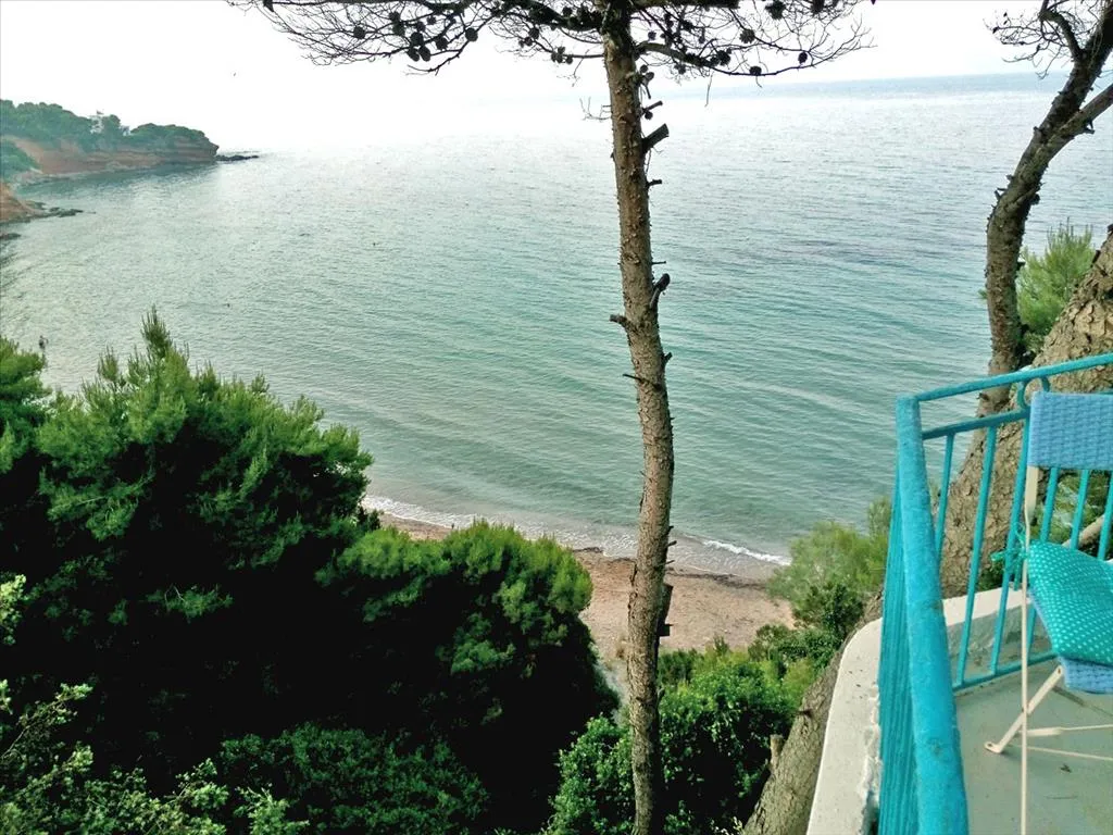 γη προς πώληση 2000 τ.μ Ραφήνα Υπόλοιπη Αττικής