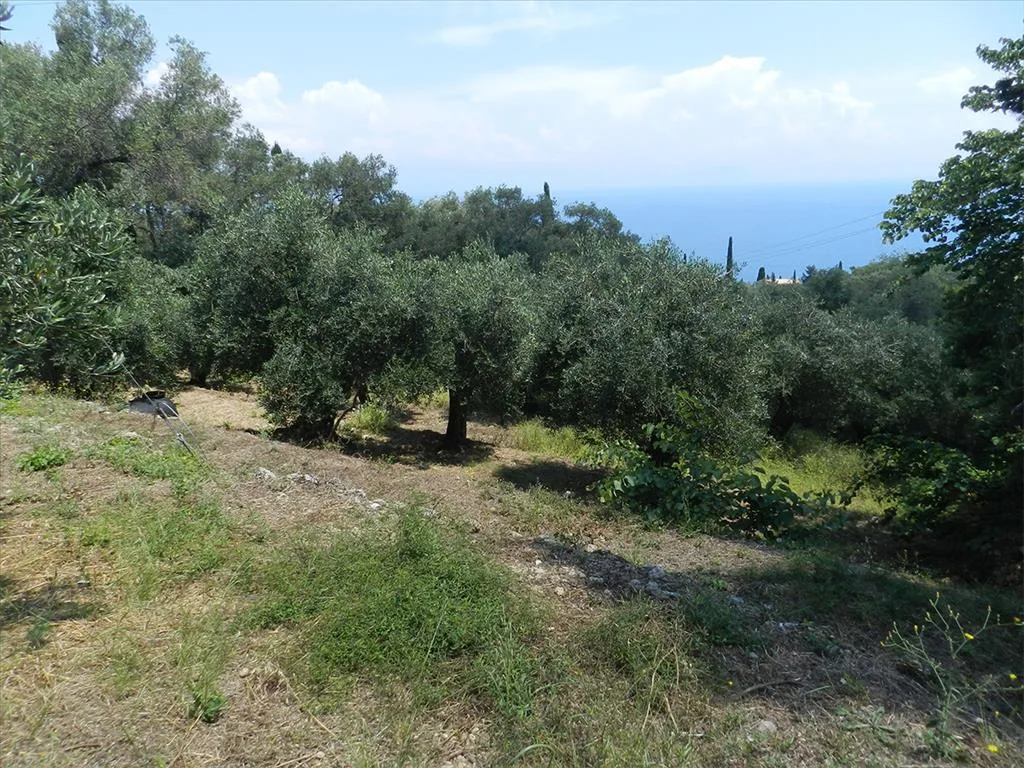γη προς πώληση 2000 τ.μ Κέρκυρα Νομός Κέρκυρας