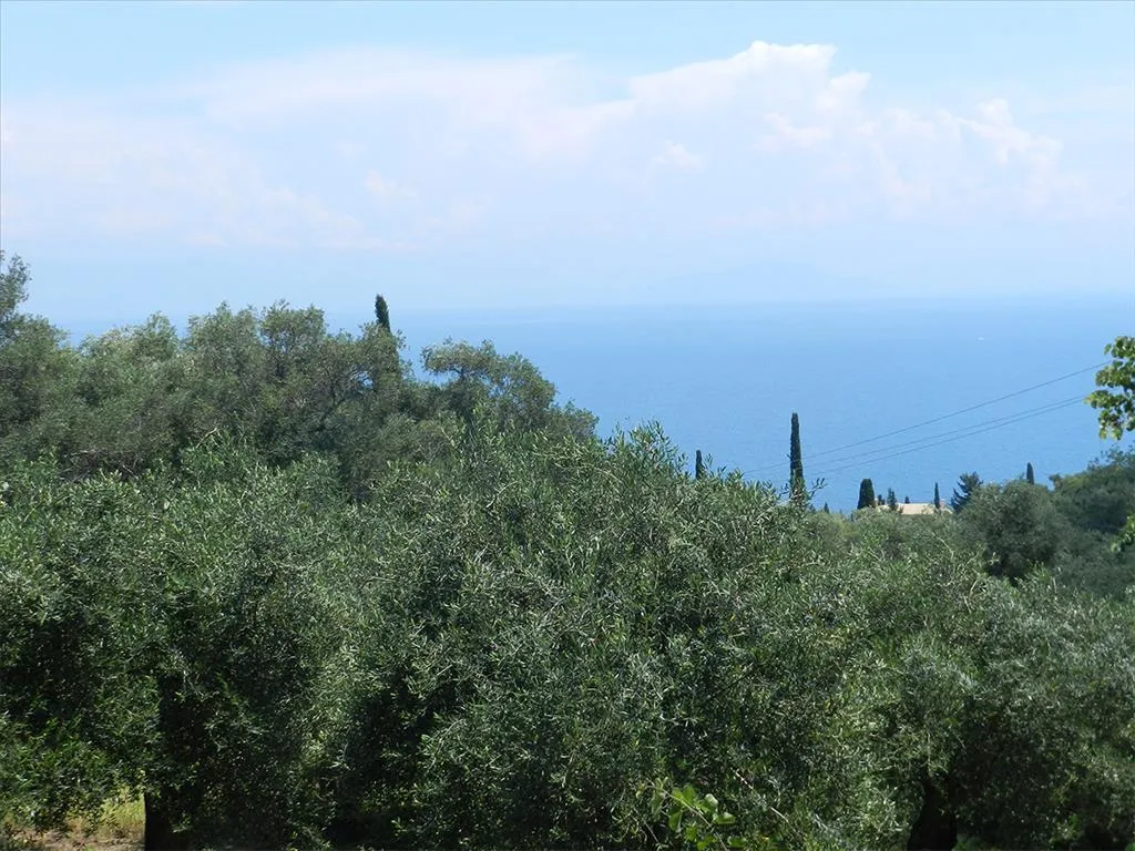 γη προς πώληση 2000 τ.μ Κέρκυρα Νομός Κέρκυρας