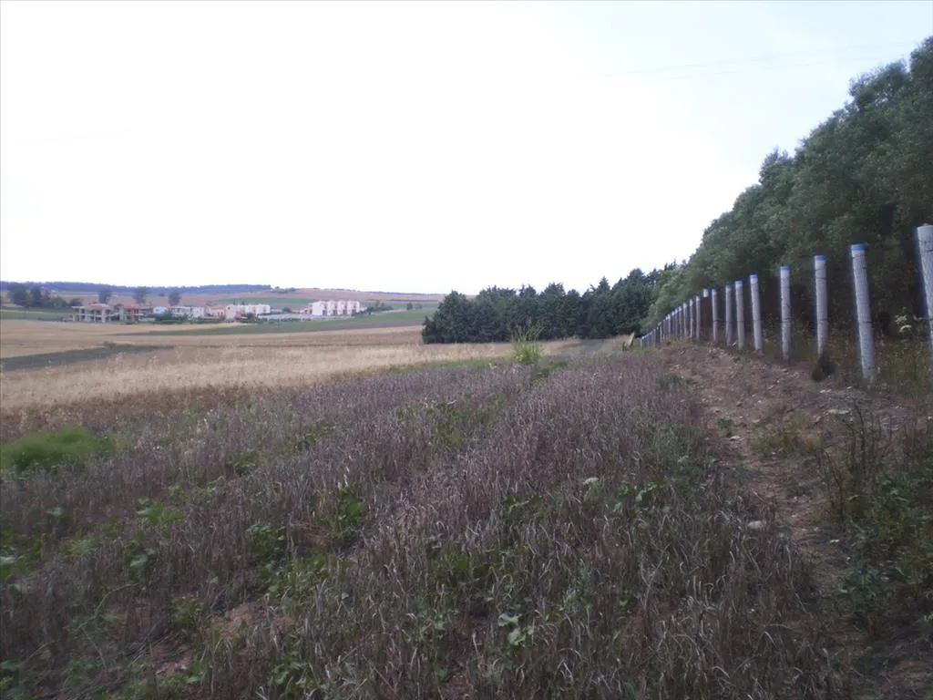 γη προς πώληση 4370 τ.μ Κασσάνδρα Χαλκιδική