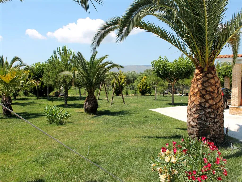 μονοκατοικία προς πώληση 225 τ.μ Κύρια περιοχή πόλης Ζάκυνθος