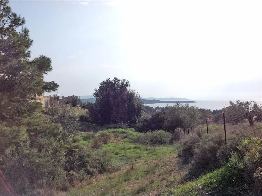 γη προς πώληση 12000 τ.μ Κρανίδι Αργολίδα