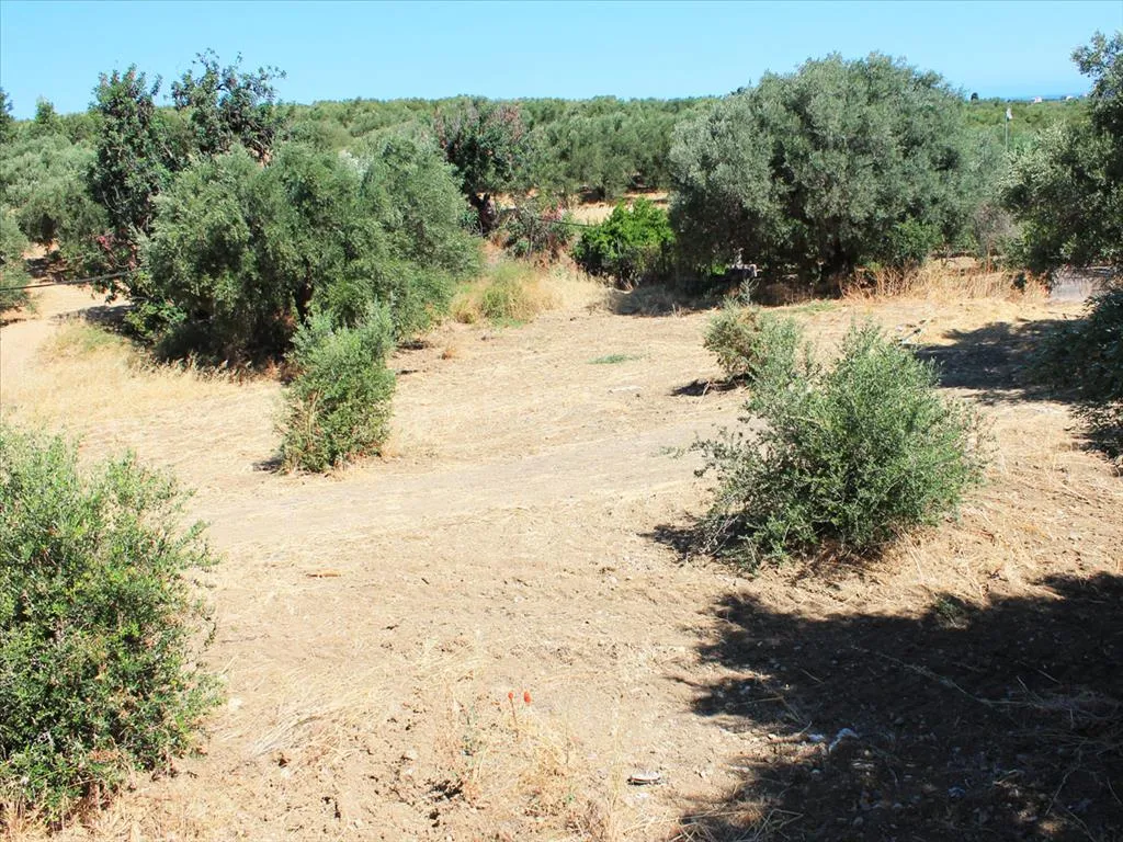 γη προς πώληση 2009 τ.μ Χερσόνησος Νομός Ηρακλείου