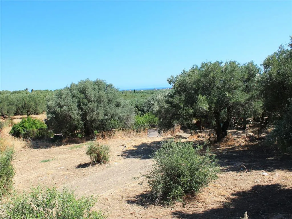 γη προς πώληση 2009 τ.μ Χερσόνησος Νομός Ηρακλείου