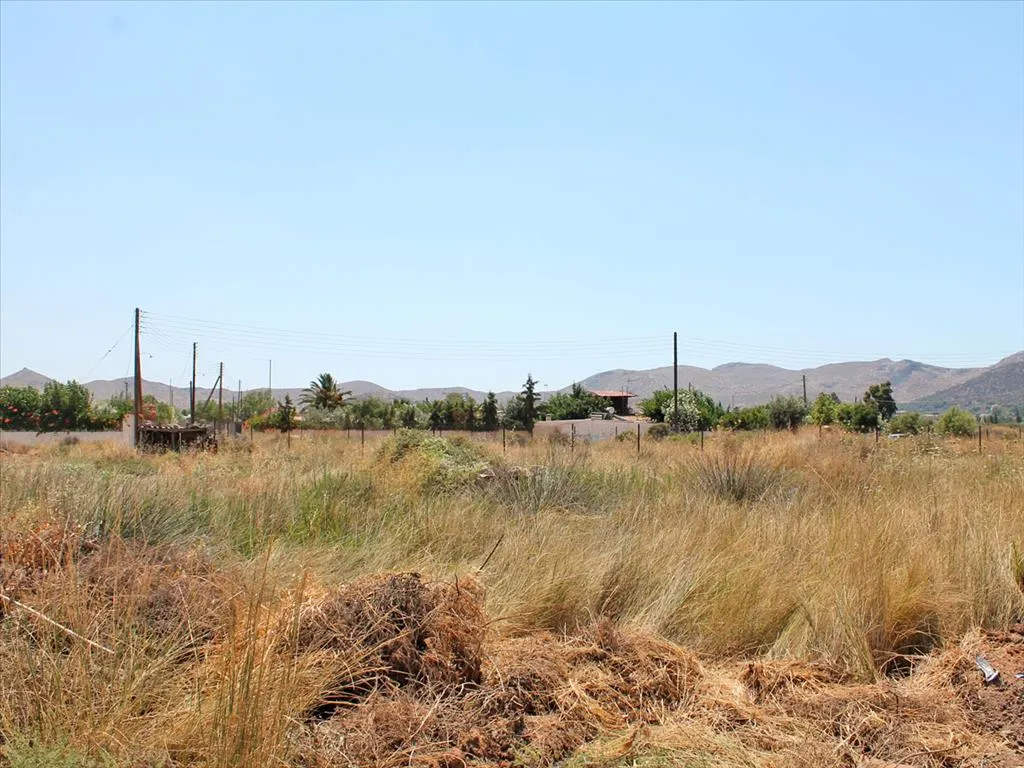 γη προς πώληση 265 τ.μ Ανάβυσσος Υπόλοιπη Αττικής