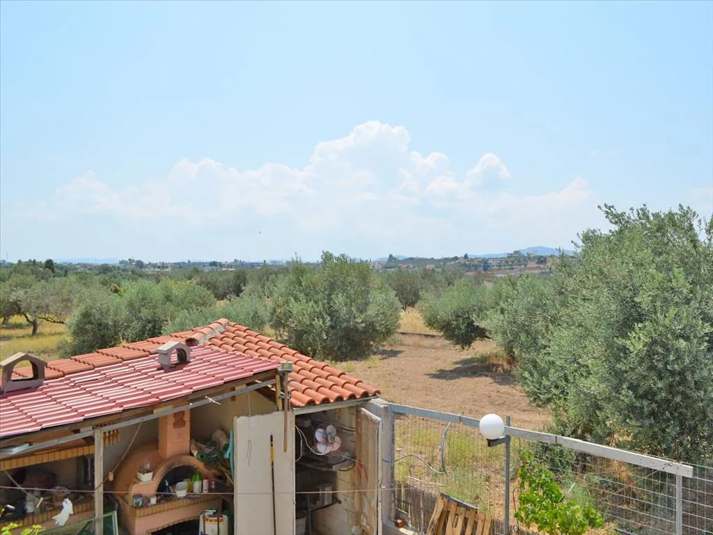 επιχείρηση προς πώληση 486 τ.μ Λουτράκι-Περαχώρα Κορινθία