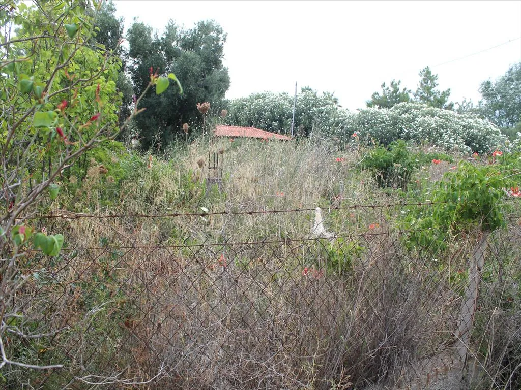 γη προς πώληση 600 τ.μ Κασσάνδρα Χαλκιδική