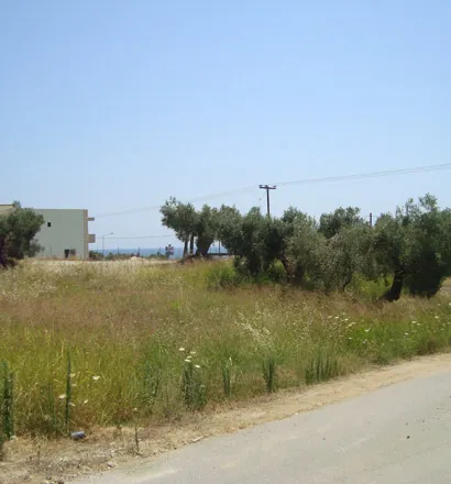 γη προς πώληση 16500 τ.μ Κασσάνδρα Χαλκιδική