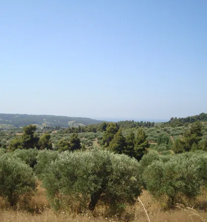 γη προς πώληση 14300 τ.μ Κασσάνδρα Χαλκιδική