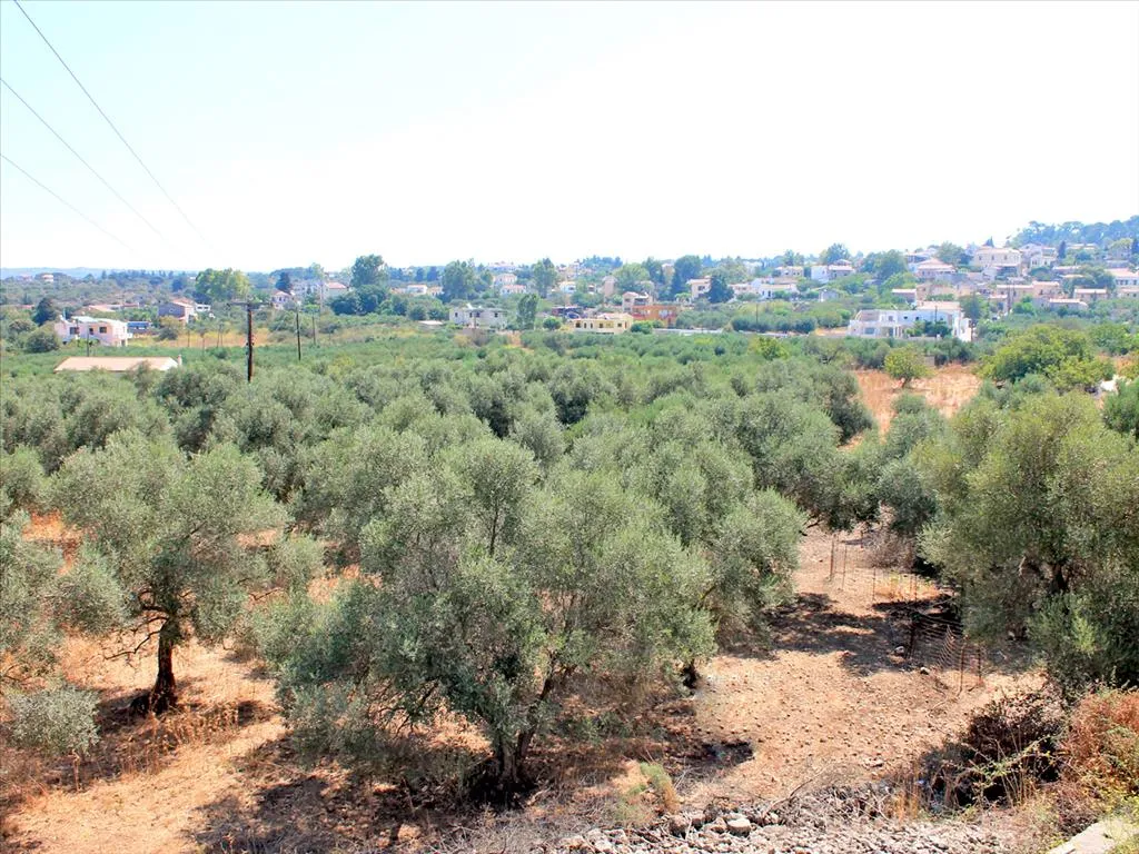 γη προς πώληση 8243 τ.μ Βάμος Νομός Χανίων