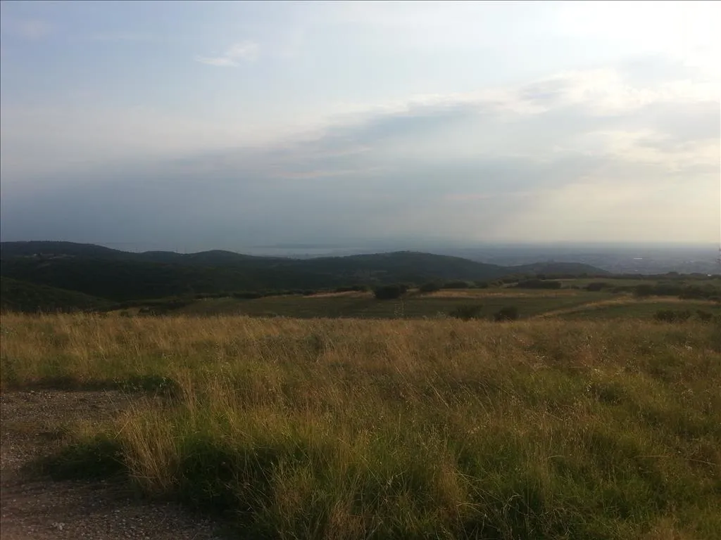 γη προς πώληση 10000 τ.μ Χορτιάτης Προάστια Θεσσαλονίκης