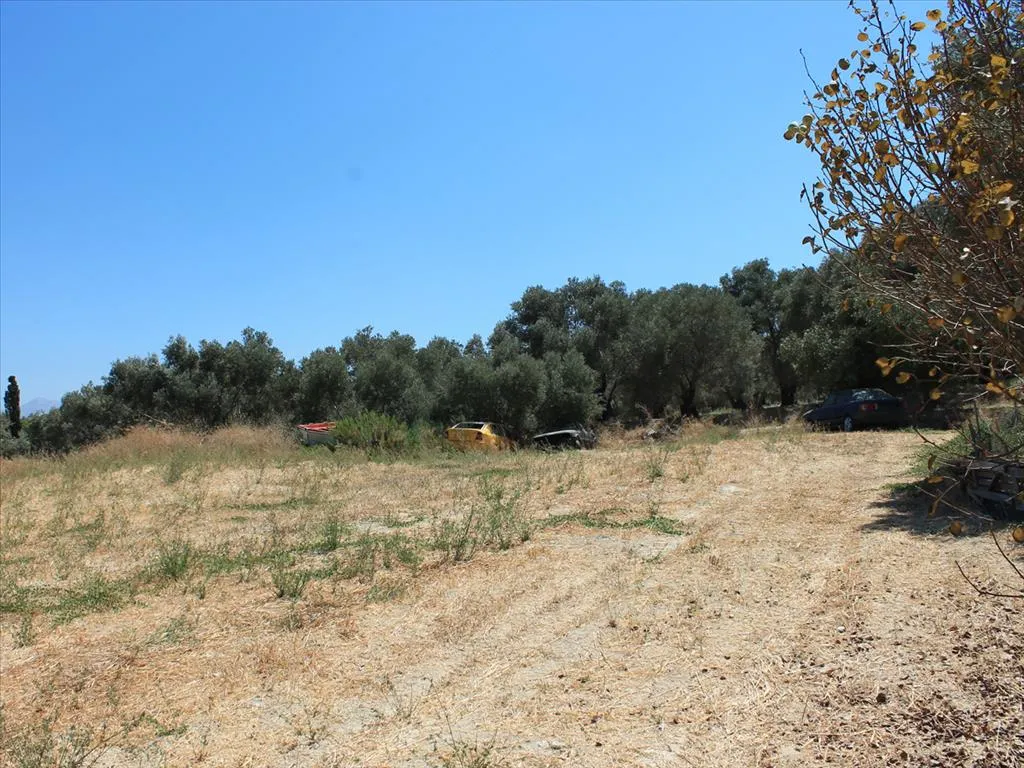 γη προς πώληση 1580 τ.μ Αρκάδι Νομός Ρεθύμνου