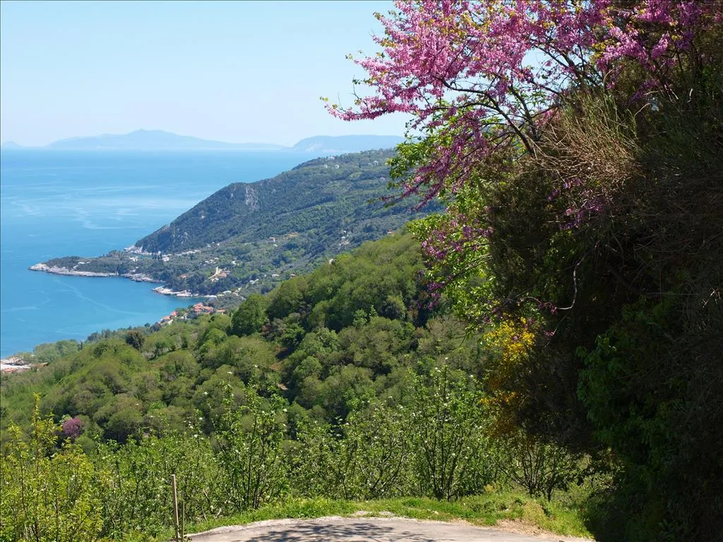 βίλα προς πώληση 383 τ.μ Μουρέσι Μαγνησία