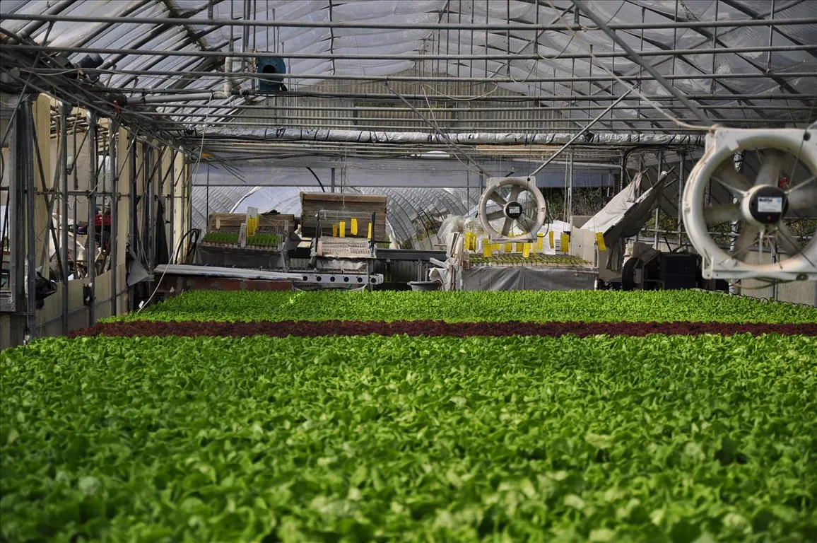 επιχείρηση προς πώληση 115 τ.μ Κέρκυρα Νομός Κέρκυρας