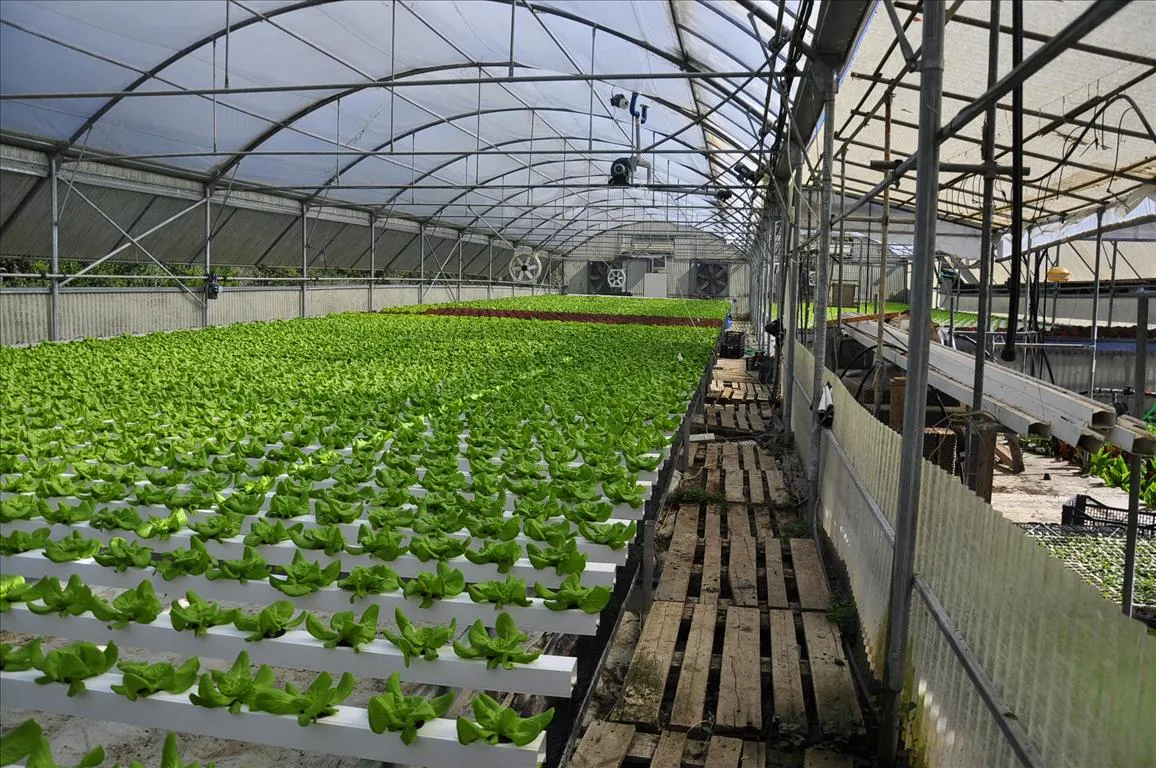 επιχείρηση προς πώληση 115 τ.μ Κέρκυρα Νομός Κέρκυρας