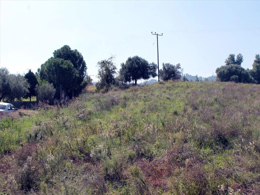 γη προς πώληση 22500 τ.μ Κασσάνδρα Χαλκιδική