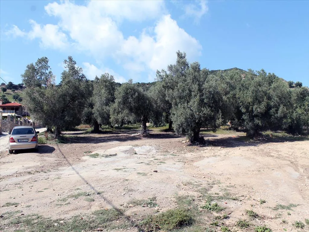 γη προς πώληση 3000 τ.μ Κασσάνδρα Χαλκιδική
