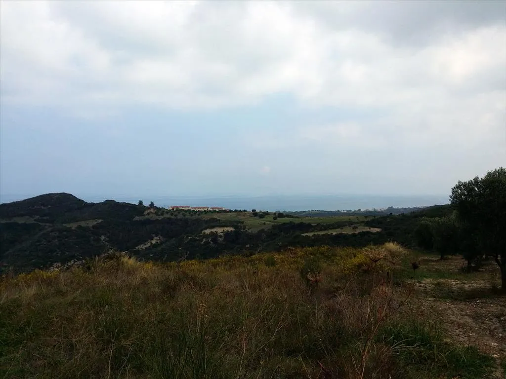 γη προς πώληση 15000 τ.μ Κασσάνδρα Χαλκιδική