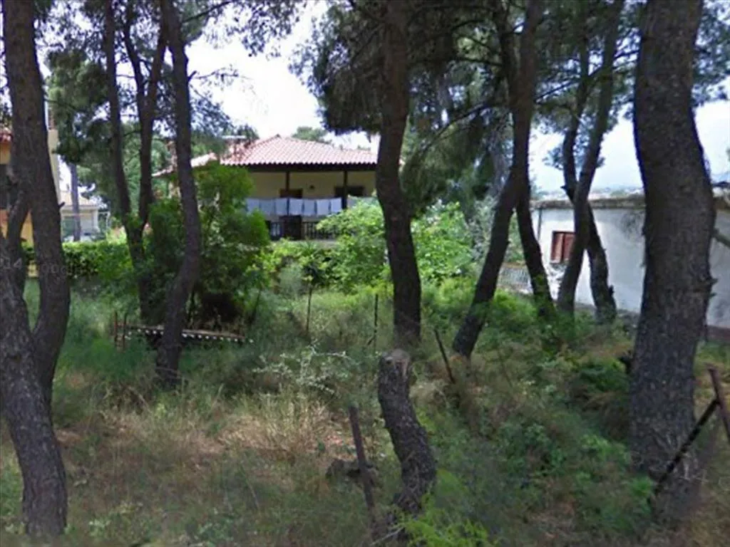 γη προς πώληση 374 τ.μ Άνοιξη Βόρεια Αθήνας