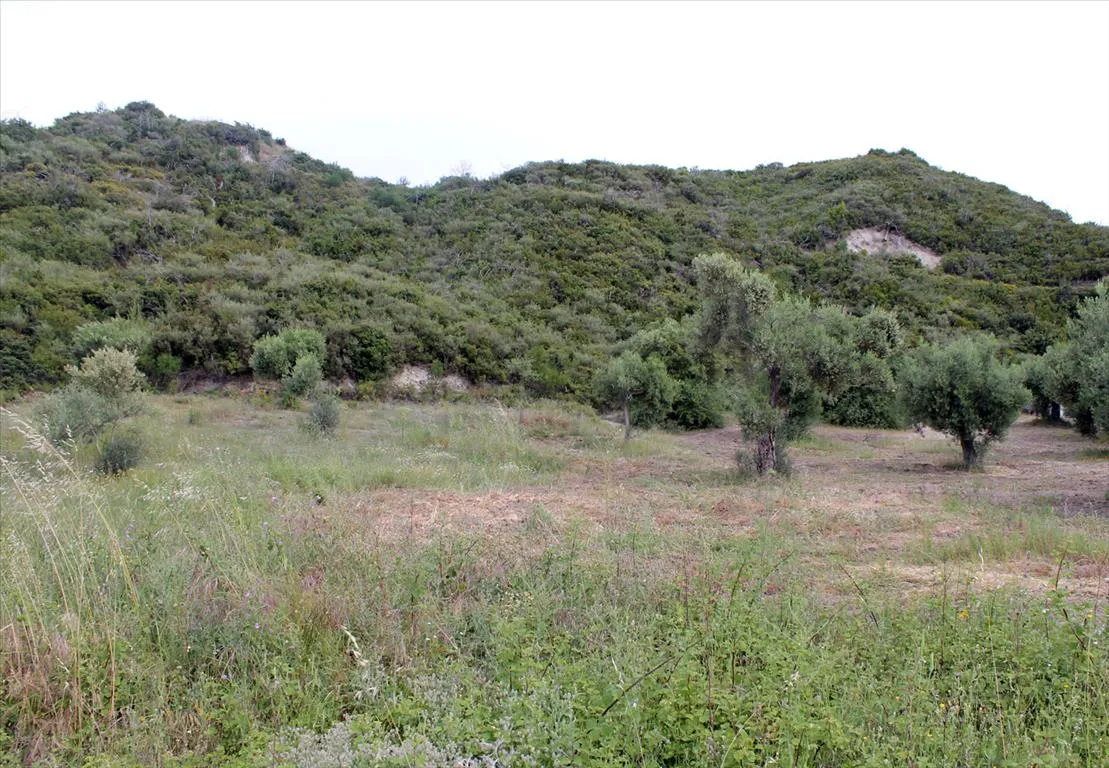 γη προς πώληση 9000 τ.μ Αριστοτέλης Χαλκιδική