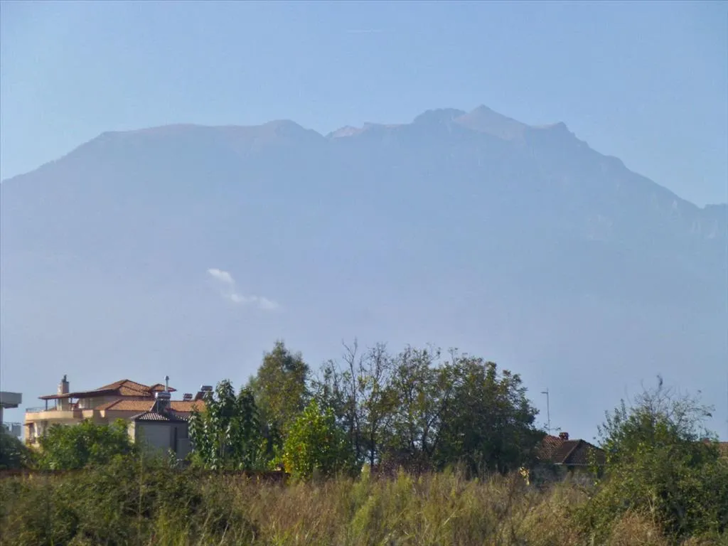 γη προς πώληση 3950 τ.μ Κατερίνη Νομός Πιερίας