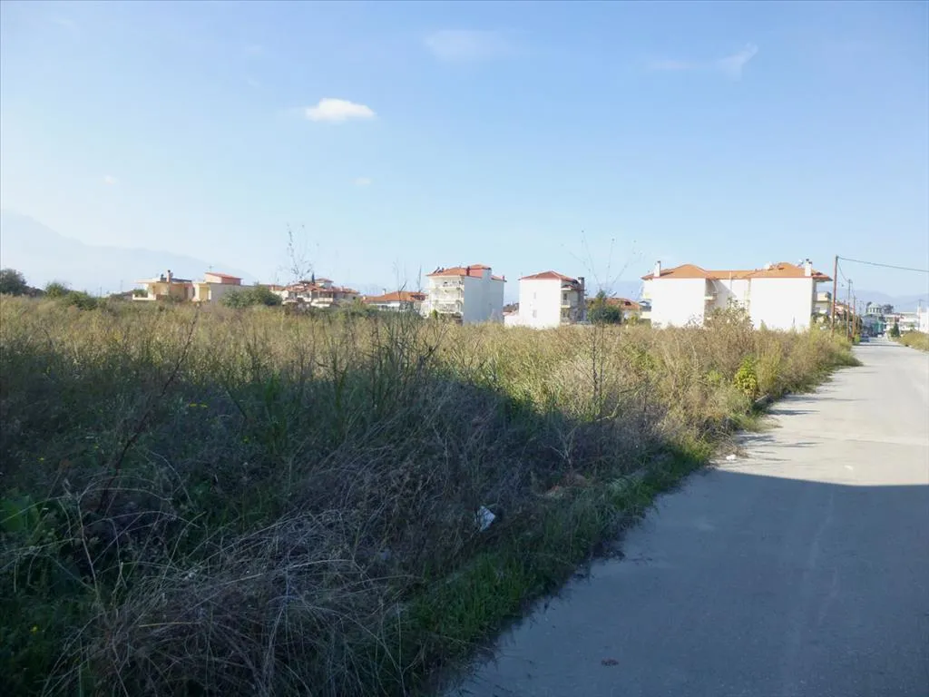 γη προς πώληση 3950 τ.μ Κατερίνη Νομός Πιερίας