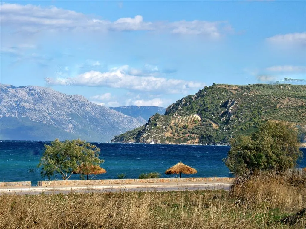 γη προς πώληση 1525 τ.μ Λαμία Φθιώτιδα