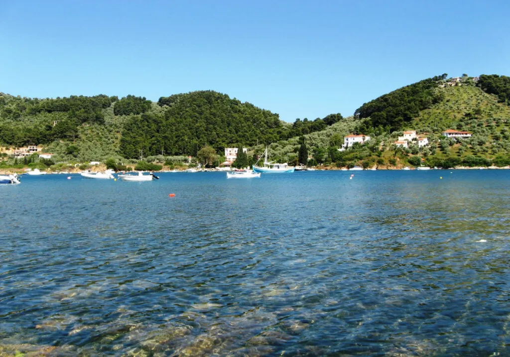 γη προς πώληση 50000 τ.μ  Σποράδες