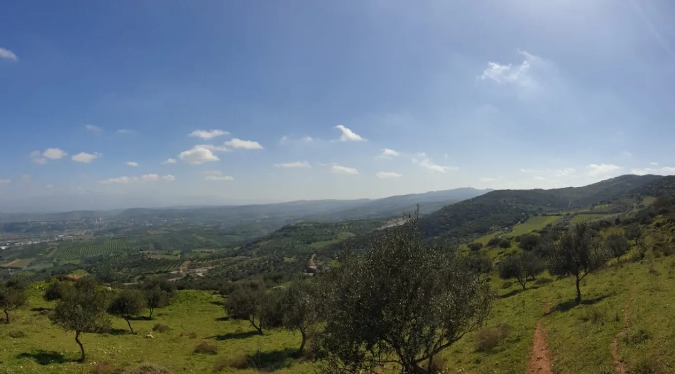 γη προς πώληση 27000 τ.μ Αρχάνες Νομός Ηρακλείου