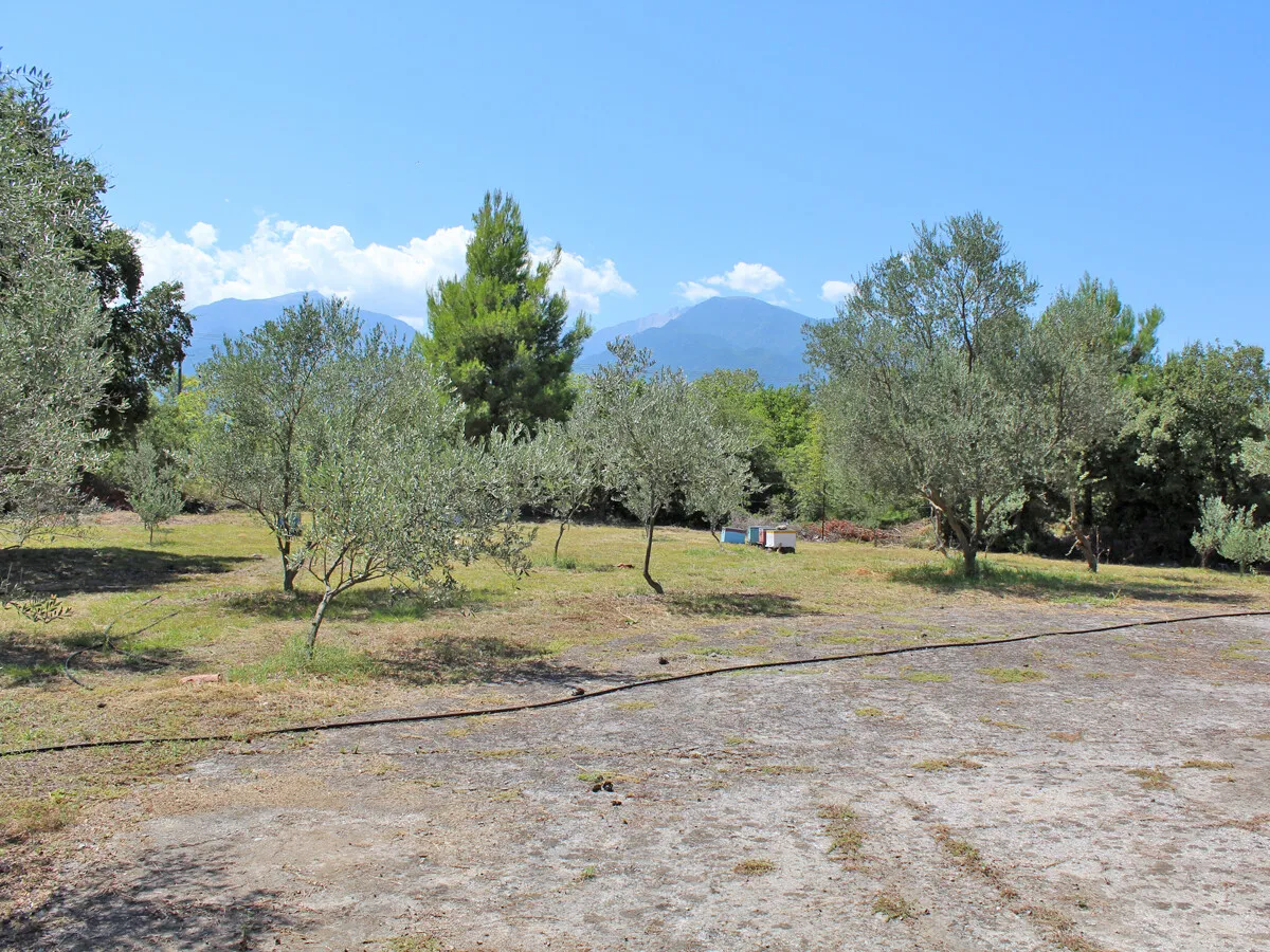 γη προς πώληση 2204 τ.μ Λιτόχωρο Νομός Πιερίας