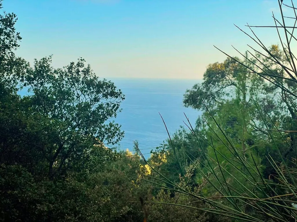 γη προς πώληση 1376 τ.μ Κέρκυρα Νομός Κέρκυρας